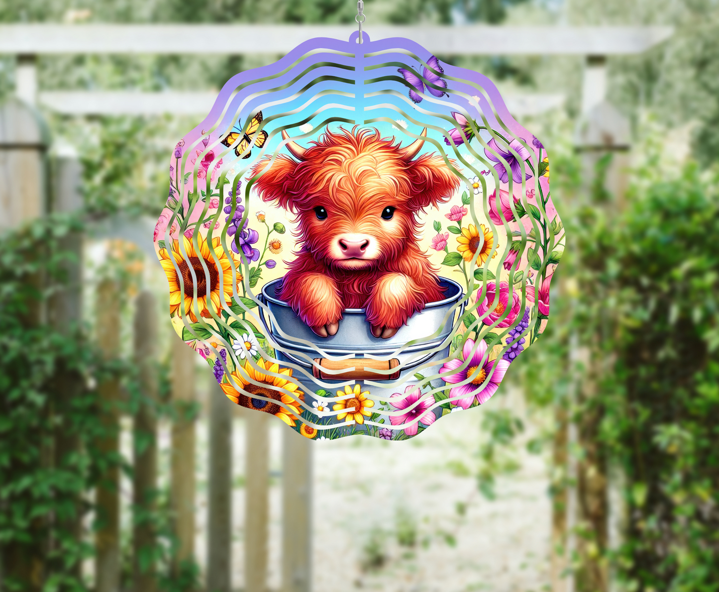 Highland Cow