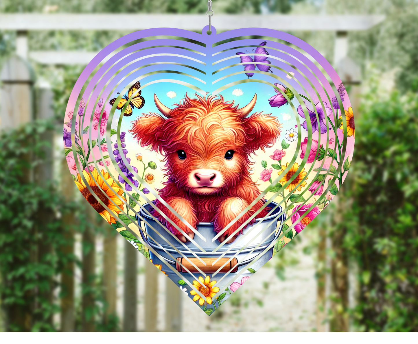 Highland Cow