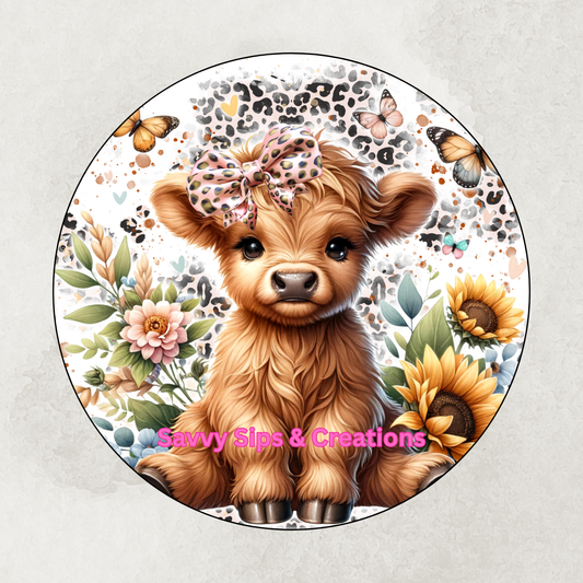 Highland Cow