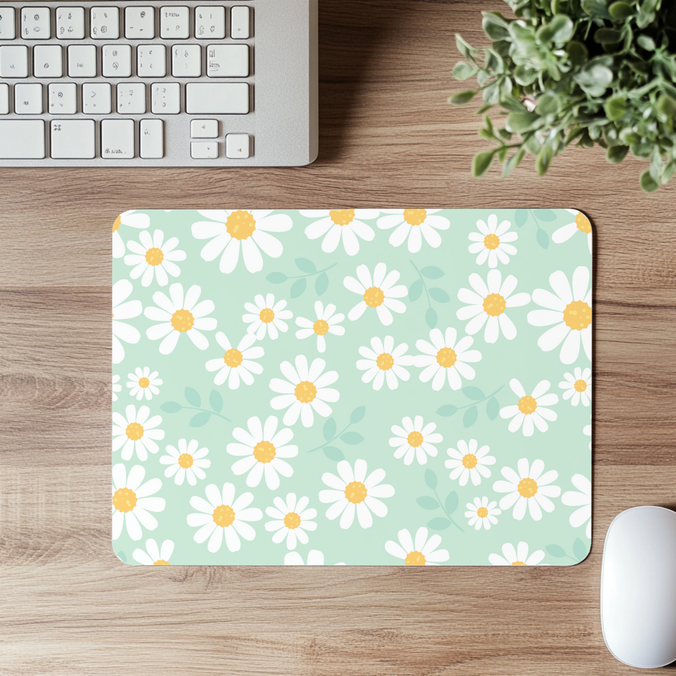 Green Daisies