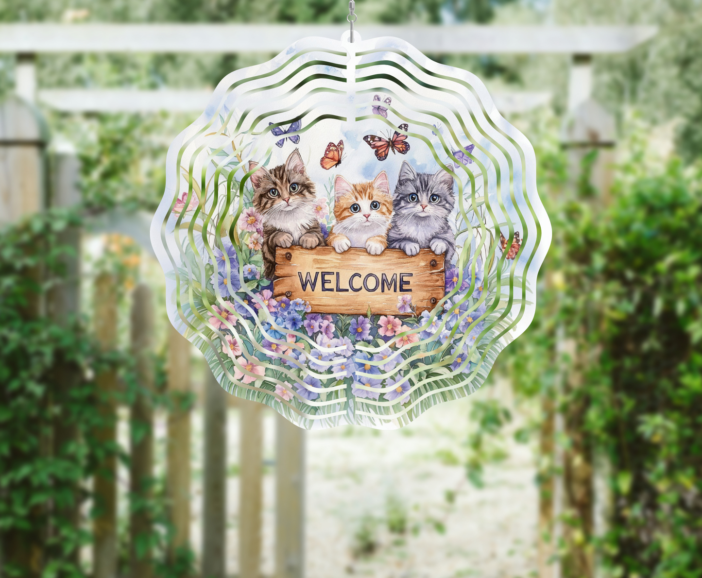 Welcome - Kittens