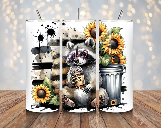 Raccoon